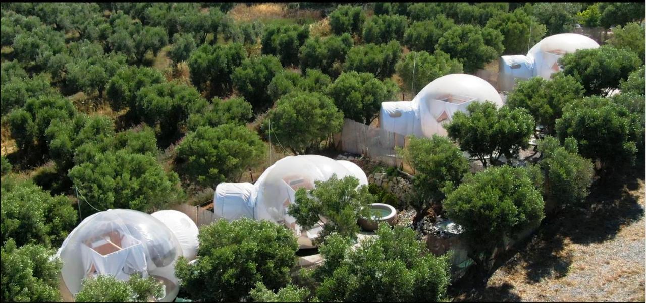 ホテル Bubble Tent ネア・ムダニア エクステリア 写真